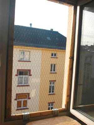 Fensterabsicherung für Katzen mit Bau-Anleitung